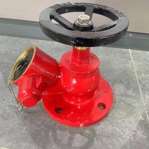 Landing Valve 2-1/2inch Flange type