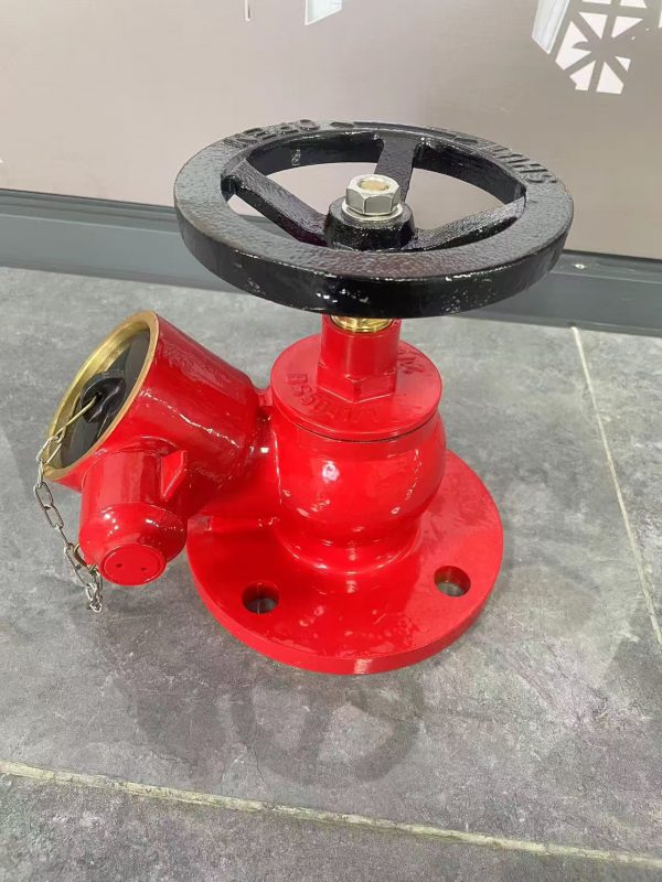 Landing Valve 2-1/2inch Flange type
