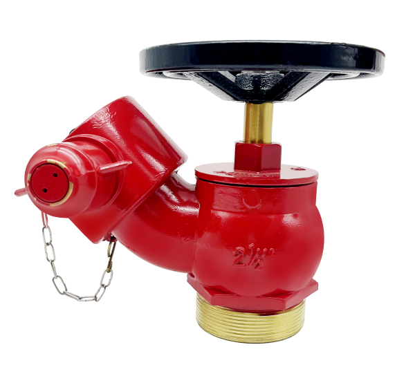 Landing Valve 2-1/2inch Flange type - Image 2